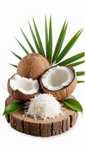 Coco Ralado Flocos Médios 1kg Coco Ralado Flocos Médios 1kg