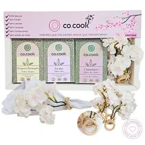 CoCook Kit Presente 3 temperos Beringela Zaatar e Chimichurri com 4 Porta Guardanapos Cerejeira