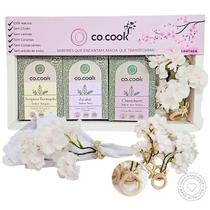 Cocook Kit Presente 3 Temperos Frango Zaatar E Chimichurri 4