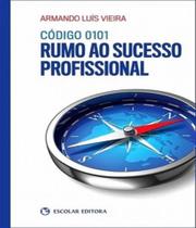 Codigo 0101 rumo ao sucesso profissional