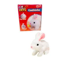 Coelhinho Playfull Pets Toyng Com Som Coelhinho Playfull Pets Toyng Com Som