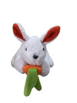 Coelho Cenourinha Fofo Branco Coelho Cenourinha Fofo Branco