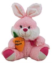 Coelho de Pascoa Pelúcia Médio Fofinho C/ Cenoura Rosa