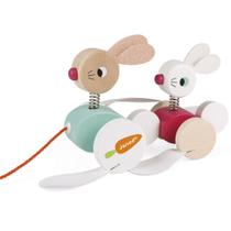 Coelho De Passear Ajuda Desenvolver Habilidades Motora - JANOD Coelho De Passear Ajuda Desenvolver Habilidades Motora - JANOD