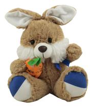 Coelho de Pelúcia Cenourinha Médio