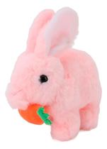 Coelho De Pelucia Interativo Que Anda Pula E Emite Som Coelho De Pelucia Interativo Que Anda Pula E Emite Som