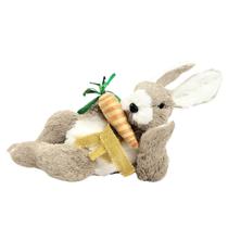 Coelho Deitado Com Cenoura Decoração De Páscoa Linha