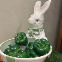 Coelho Em Cerâmica Com Cesta E Laço Verde Shaby G - Unidade Coelho Em Cerâmica Com Cesta E Laço Verde Shaby G - Unidade