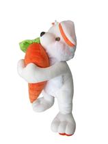 Coelho Lilico de Pelúcia com Cenoura Coelho Lilico de Pelúcia com Cenoura