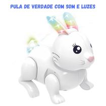 Coelho pascoa Meu Primeiro Coelhinho Brinquedo Interativo Com Luz E Som - Zoop Toys