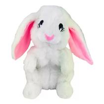 Coelho Pulinho de Pelucia A Caminho da Lua Original