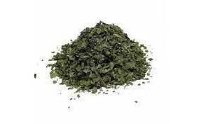 Coentro em Folhas (Coriandrum sativum) 30g - Temperos Naturais