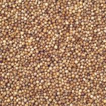 Coentro em Grãos 100gr Coentro em Grãos 100gr