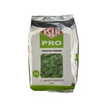 Coentro Verdão - 500gramas de Sementes