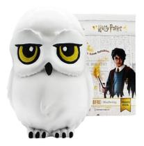 Cofre 3d Coruja Edwiges Harry Potter