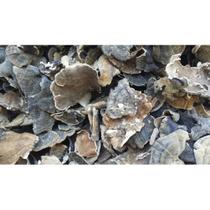 Cogumelos Turkey Tail desidratados Oregon Mushrooms 113 g Cogumelos Turkey Tail desidratados Oregon Mushrooms 113 g