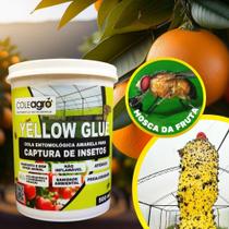 Cola Entomológica Amarela Yellow Glue 500ml ColeAgro Monitoramento de Pragas Controle de Insetos Produto Atóxico Cola Entomológica Amarela Yellow Glue 500ml ColeAgro Monitoramento de Pragas Controle de Insetos Produto Atóxico