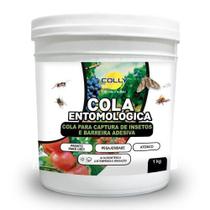 Cola Entomológica Armadilha de Insetos - Colly