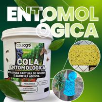 Cola Entomológica Captura de Insetos Para Monitoramento de Insetos 500g Barreira de Formigas