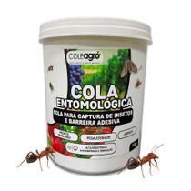 Cola Entomológica Incolor para Armadilha Adesiva 1kg Coleagró Monitoramento de Pragas Controle de Insetos Produto Atóxico