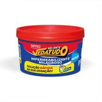 Cola Impermeabilizante Vedatudo Milagroso Infiltrações Selante 300g Dryko
