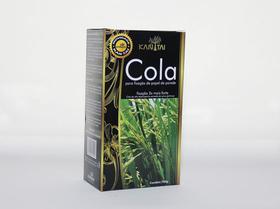 Cola para papel de parede instantânea