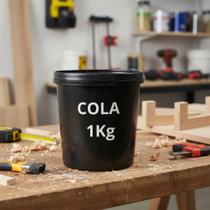Cola Para Pastilha De Vidro Com Catalisador 1kg Para Piscina De Fibra