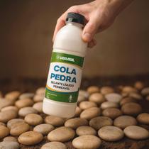 Cola Para Pedra Decorativa 1 LT Fixador Para Jardim Selante Líquido Transparente Hidrofugante Alta Durabilidade Evita De Cola Para Pedra Decorativa 1 LT Fixador Para Jardim Selante Líquido Transparente Hidrofugante Alta Durabilidade Evita De