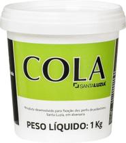 Cola Para Rodapé Guarnição Rodateto Santa Luzia Pote 1 Kg