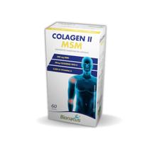 Colagen II MSM Colágeno Tipo II 40mg Bionatus 60 Cápsulas