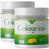 Colágeno + Ácido Hialurônico + Silicio + C - 200g Limão 2 potes
