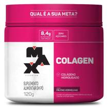 Colágeno em Pó Hidrolisado 120g Max Titanium Colágeno em Pó Hidrolisado 120g Max Titanium