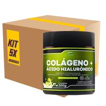 Colágeno Hid + Ácido Hialurônico + Vit. C BV Nutrition - Mousse de Limão Kit 5x 300g