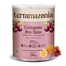 Colageno Pro Skin Terramazonia com Vertisol, CamuCamu e Cubiu 210g Colageno Pro Skin Terramazonia com Vertisol, CamuCamu e Cubiu 210g