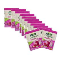 Colágeno Solúvel Sabor Cranberry Display com 12 Saches de 6g - NaturalLife