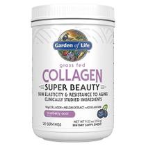 Colágeno Super Beauty Powder Blueberry Açaí, 270 gramas de pó da Garden of Life (pacote com 2)