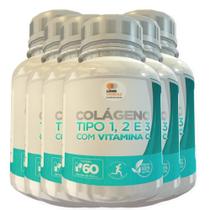 Colágeno Tipo 1, 2 E 3 Com Vitamina C 500Mg 60 Cáps 6 Potes