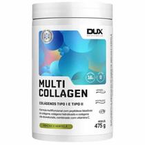 Colágeno Tipo 1 e Tipo 2 Colágeno Hidrolisado Multi Collagen Dux Nutrition 475g