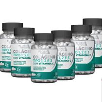 Colágeno tipo 1,2 e 3 com vitamina C 500mg 60 caps Kit com 6 - WORLD ECOMMERCE