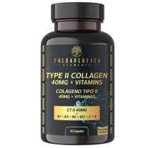 Colágeno Tipo 2 40mg + Vitaminas B1 + B3 + B6 + B12 + C + E 60 Cápsulas Suporte para Articulações - THERAPEUTICA ELEMENTS