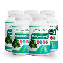 COLÁGENO TIPO 2 - 500mg (60 Cápsulas) VITAL GOLD COLÁGENO TIPO 2 - 500mg (60 Cápsulas) VITAL GOLD