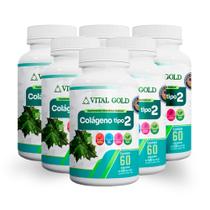 COLÁGENO TIPO 2 - 500mg (60 Cápsulas) VITAL GOLD