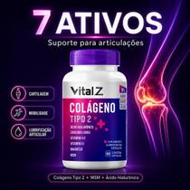 Colágeno Tipo 2 60 Cápsulas Ácido Hialurônico MSM Vitaminas K2 e D Suplemento Natural Colágeno Tipo 2 60 Cápsulas Ácido Hialurônico MSM Vitaminas K2 e D Suplemento Natural