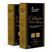 Colágeno Tipo 2 Collagen Pró 2x30caps - Alisson Nutrition
