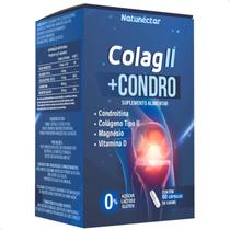 Colágeno Tipo 2 + Condroitina + Vit D + Magnésio 60 Cápsulas - Natunéctar