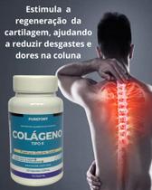 Colágeno Tipo 2 I Kit 180 cápsulas I PureFort