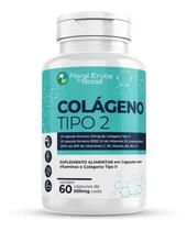 Colágeno Tipo 2 II 60 cápsulas 500mg UC 2 Vitaminas C , E, B6 b1 B12 D3 Articulções 60 Cápsulas