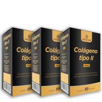 Colágeno Tipo II 40mg 30 Cápsulas Gold Lab