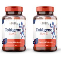 Colágeno Tipo II 500mg - 60 Cápsulas Suplemento para Cartilagem e Articulação Uso Diário Colágeno Tipo II 500mg - 60 Cápsulas Suplemento para Cartilagem e Articulação Uso Diário