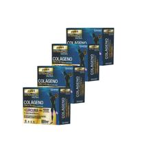 Colageno tipo2 curcuma ácido hialurônico prevent pharma